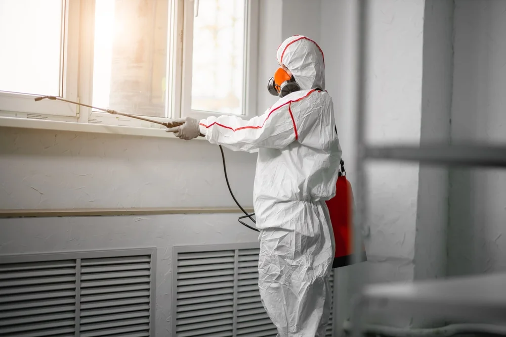 Professional mold remediation services in Neshanic Station, NJ